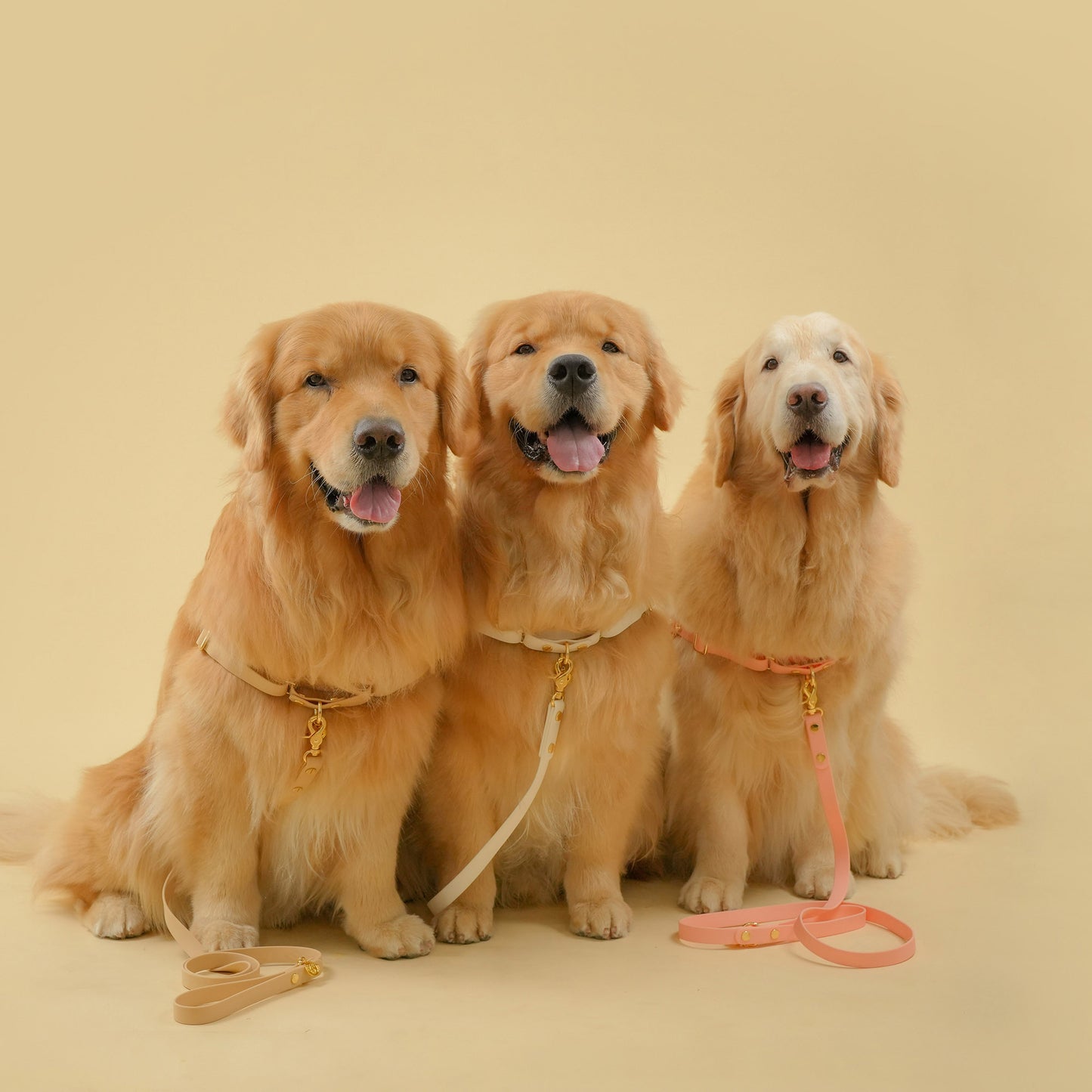 สายรัดอก Harness