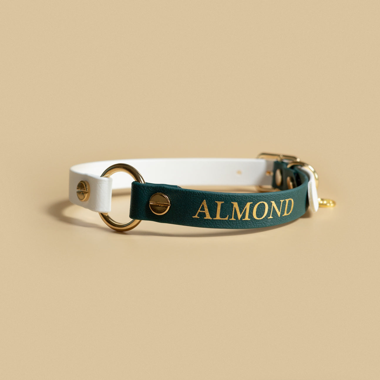1/2" Tag Buckle collar