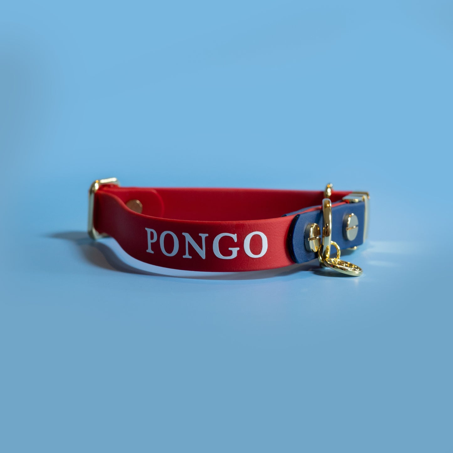 3/4" Side Release Buckle Collar