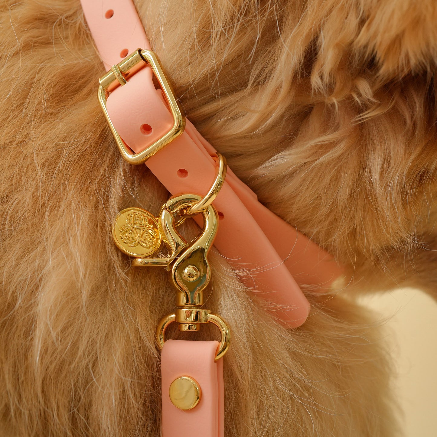 ปลอกคอเข็มขัด Buckle collar