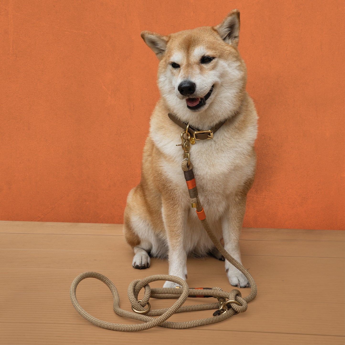 Peanut rope leash