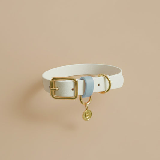 1/2" Tag Buckle collar (Copy)