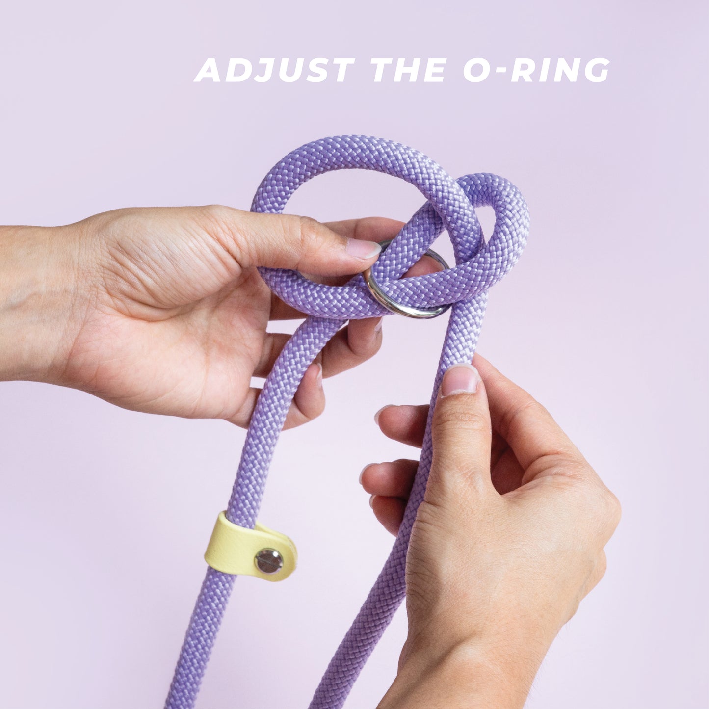 Lilac rope leash