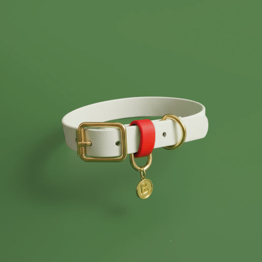 3/4" Tag Buckle collar