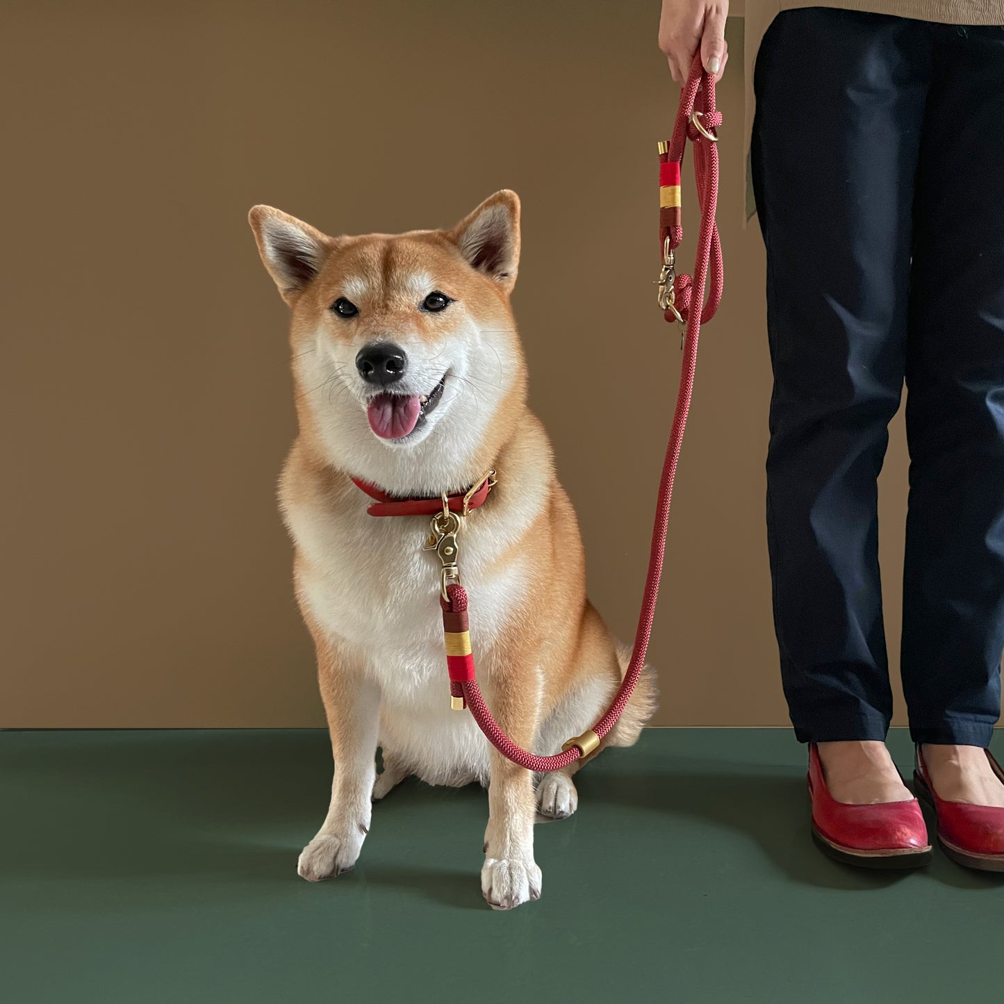 Copper Red Rope leash