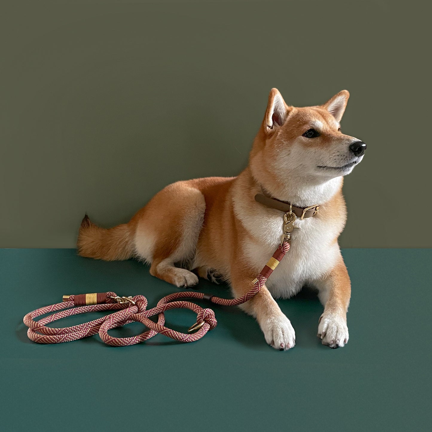 Navy Rope leash