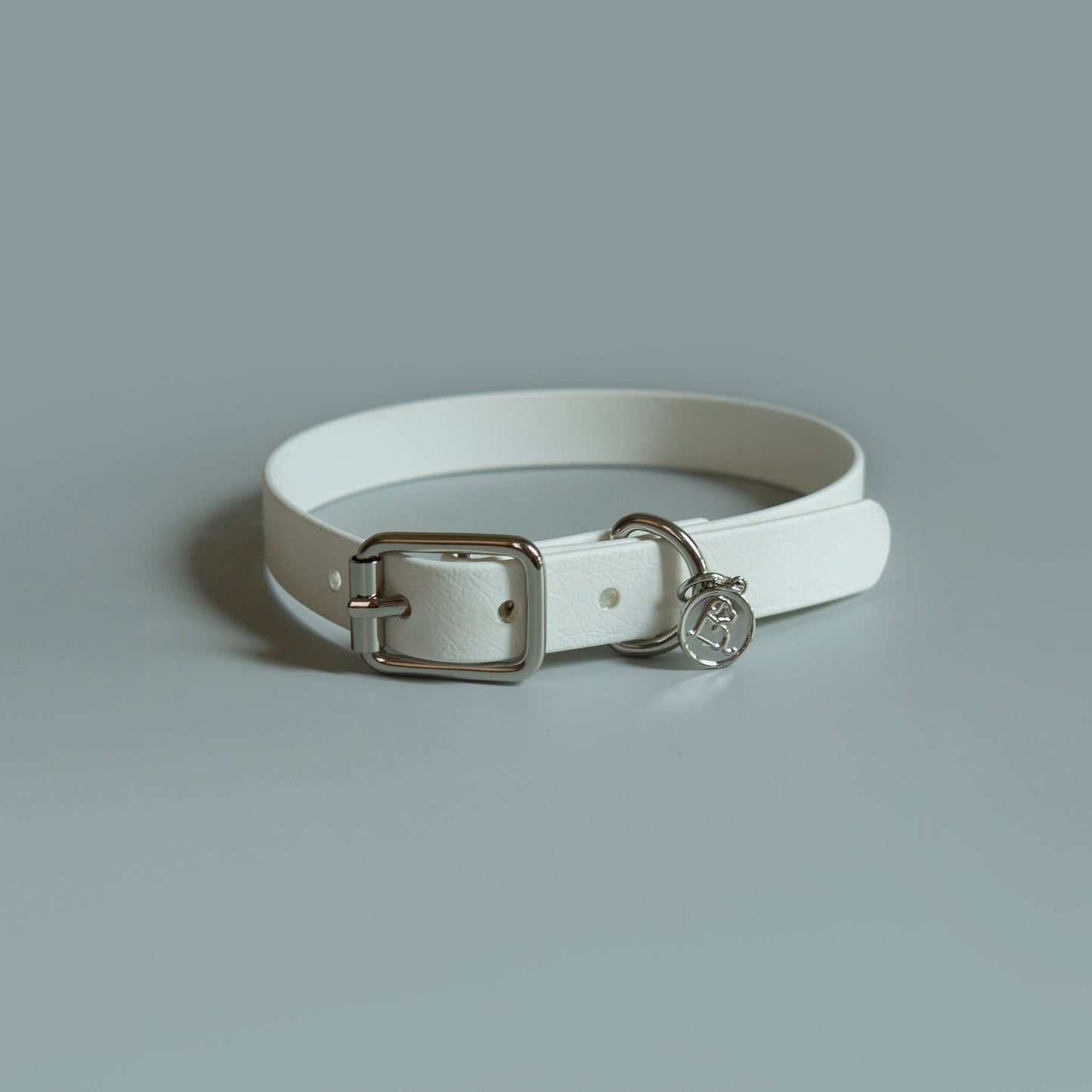 3/4" Buckle Collar