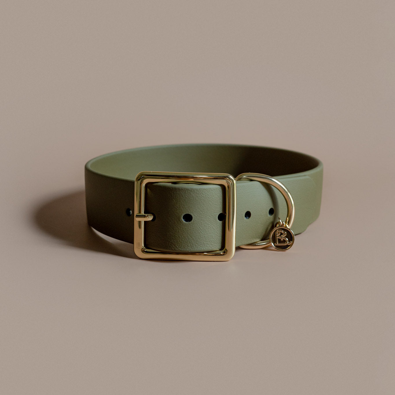 1.5" Buckle Collar