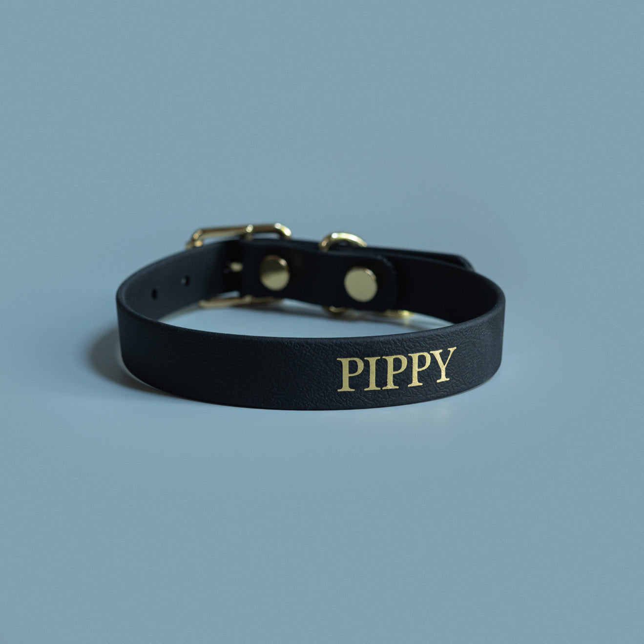 1/2" Buckle Collar