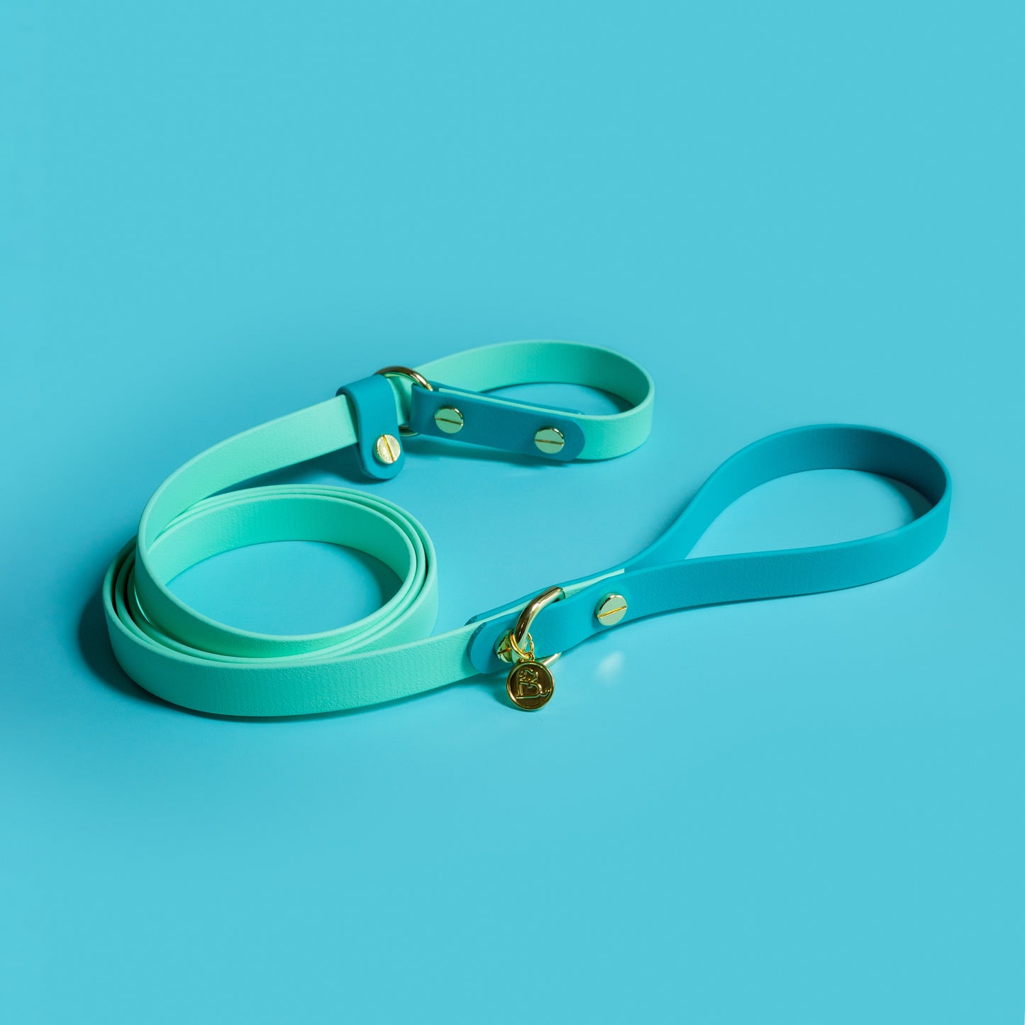 3/4" Slip leash