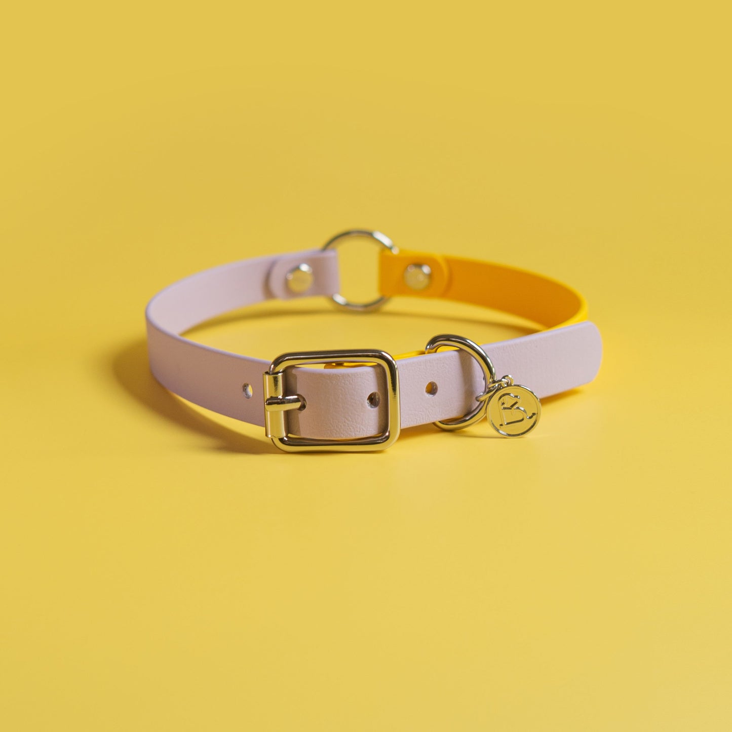 3/4" O Buckle collar