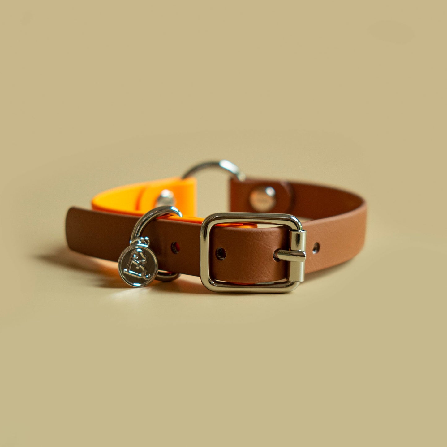 3/4" O Buckle collar