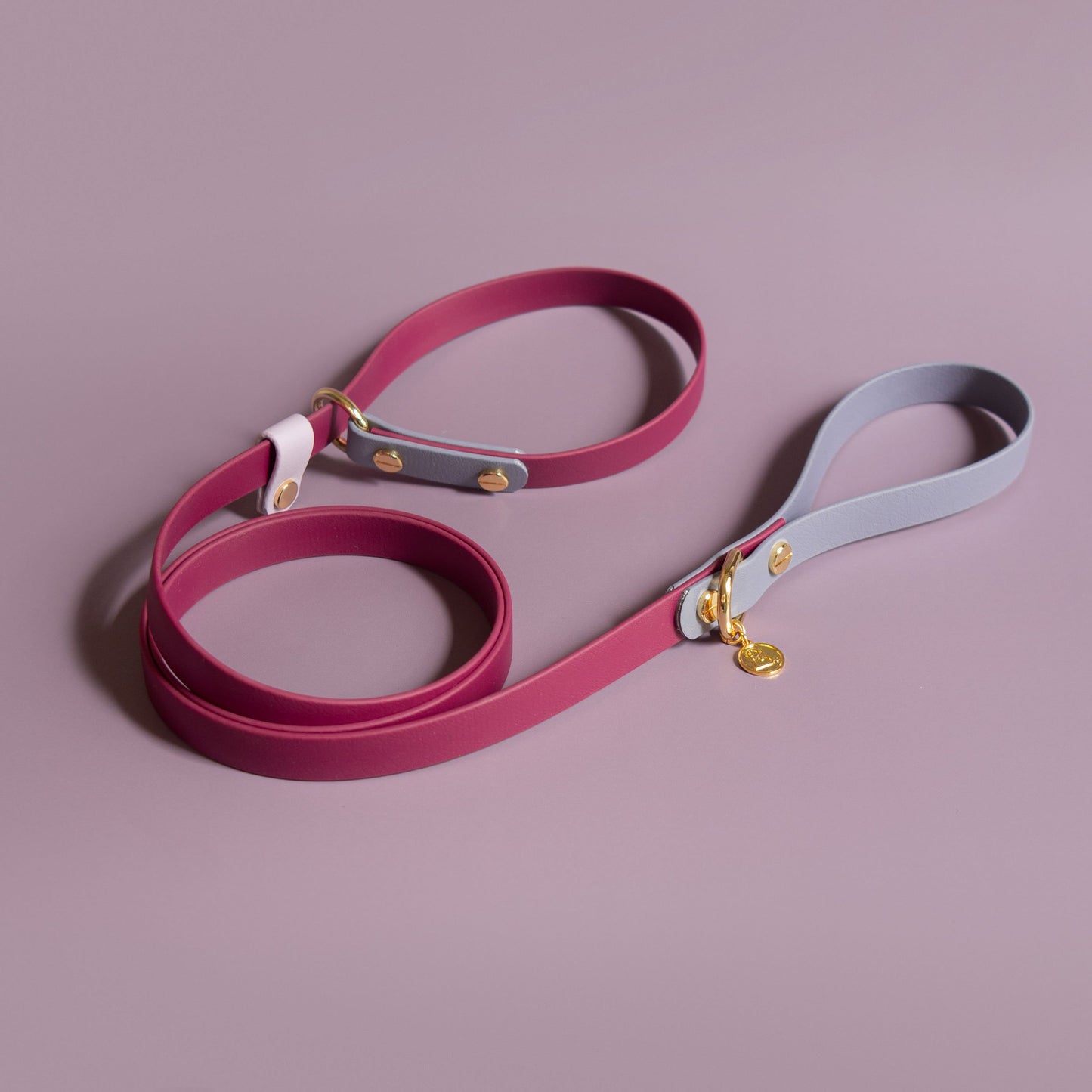 3/4" Slip leash