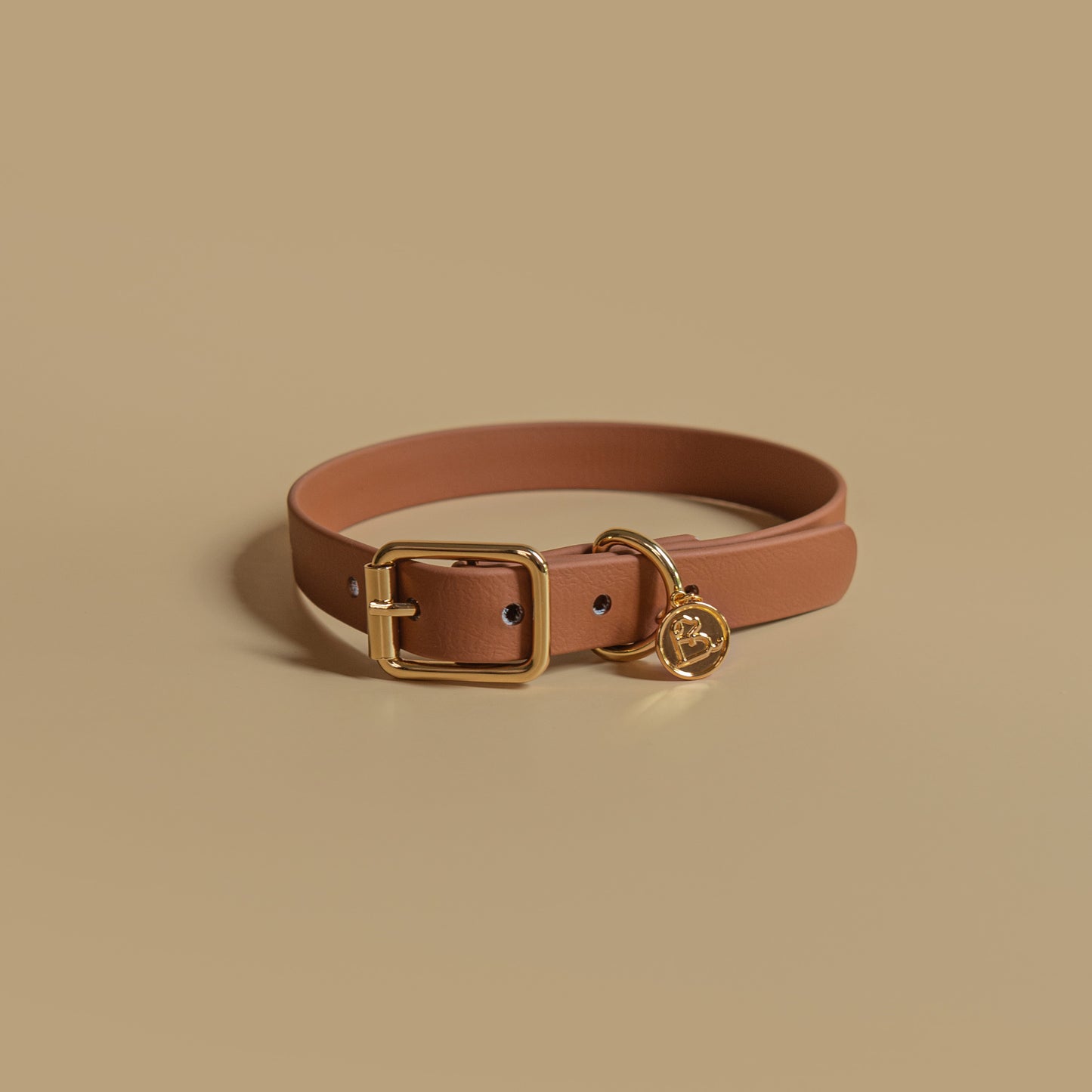 1/2" Buckle Collar