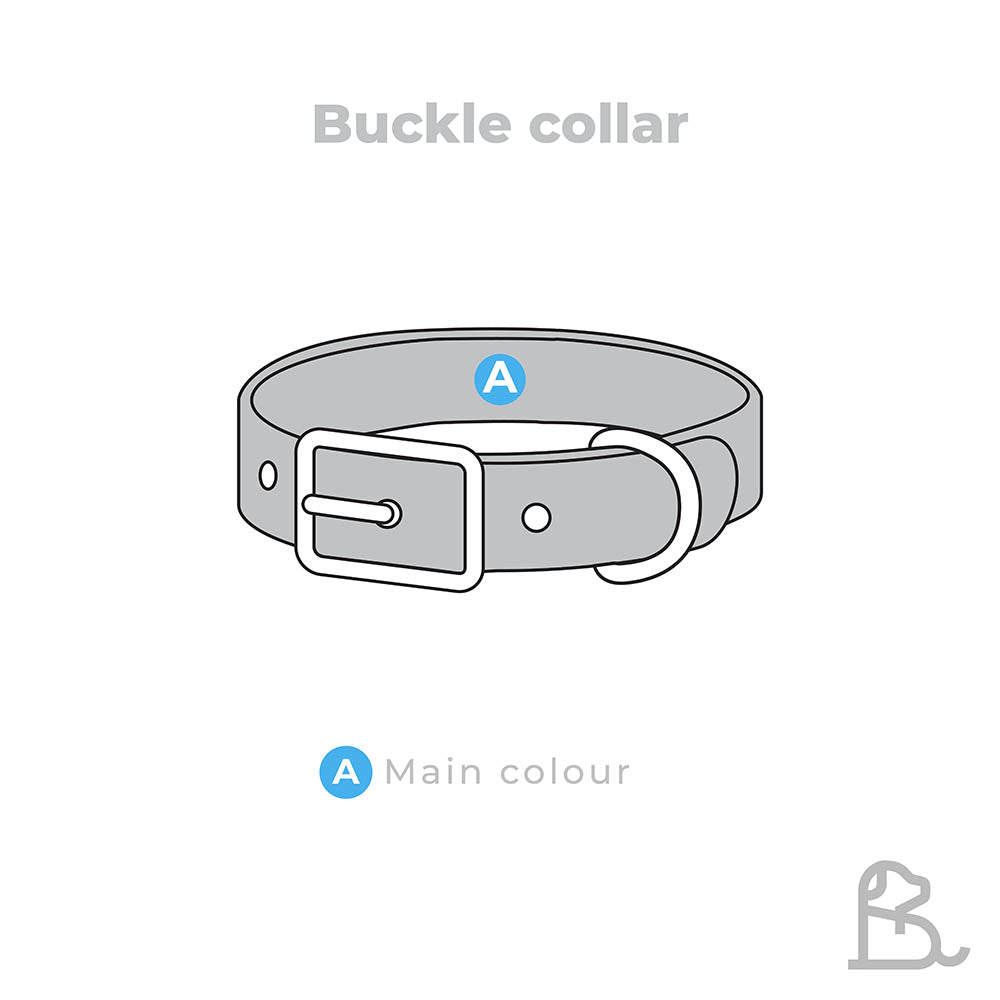 1/2" Buckle Collar