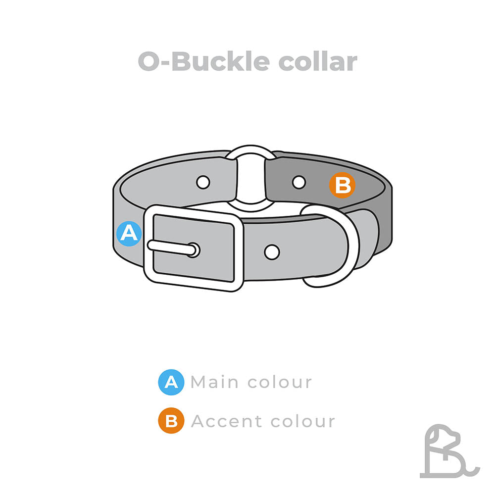 1/2" O Buckle collar