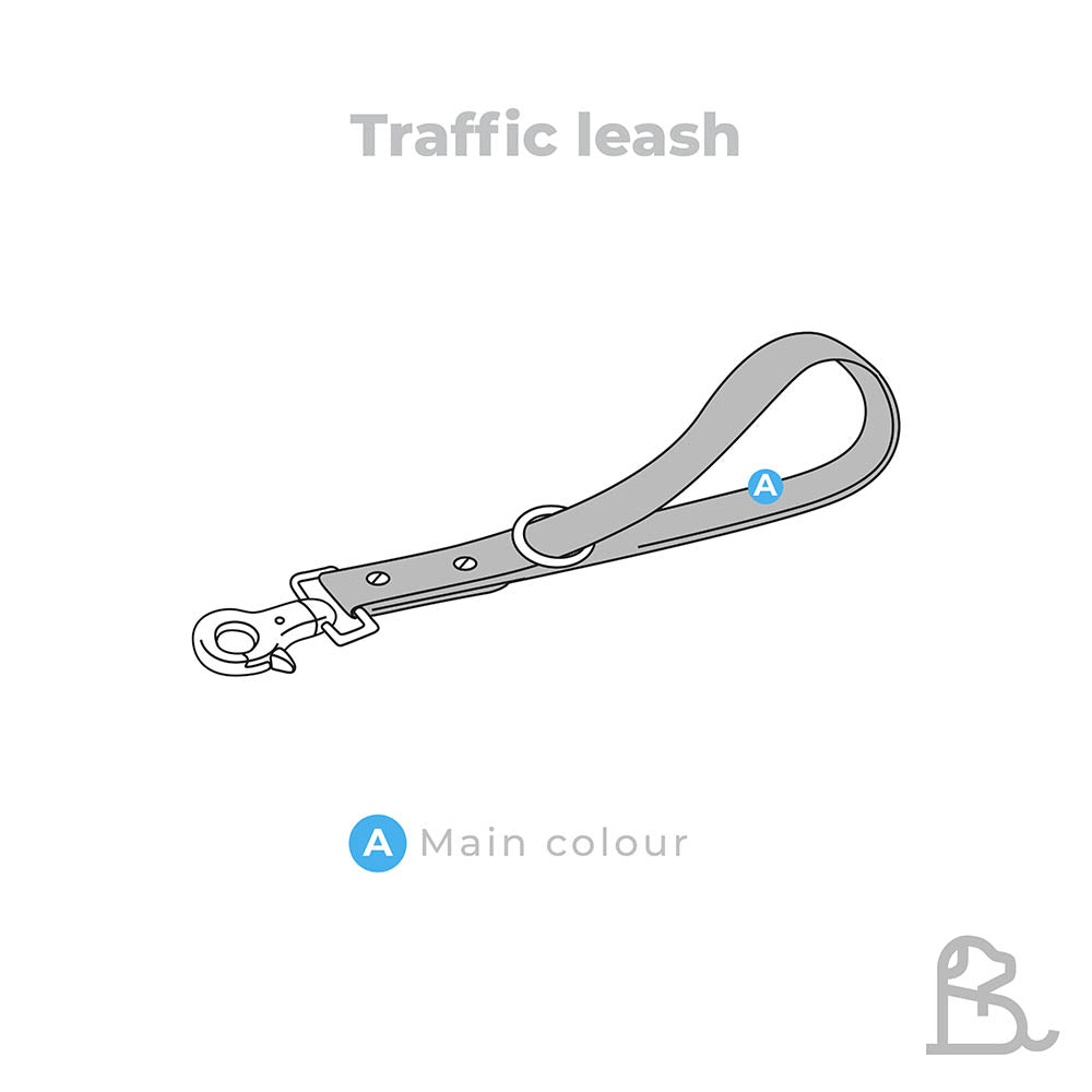 Traffic leash